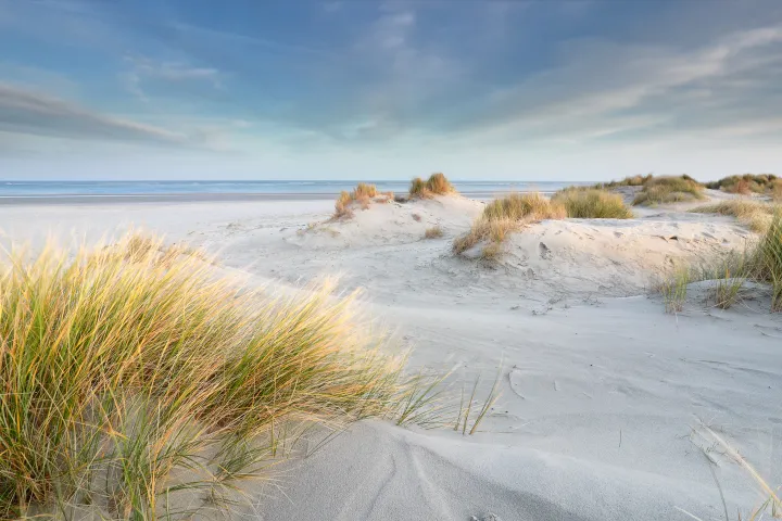 strand-duinen-wijk-aan-zee.jpg